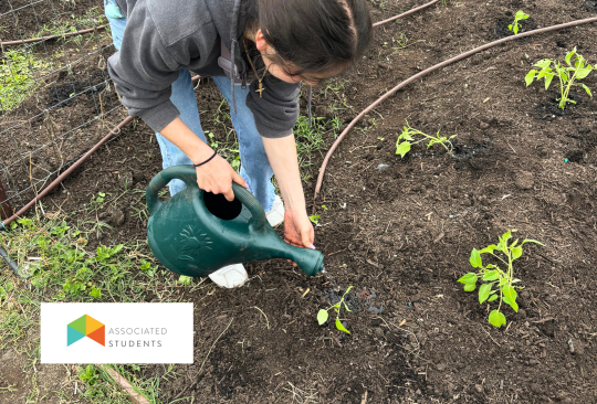 Woman watering plants in a garden.